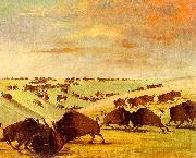 George Catlin Buffalo Bulls Fighting in Running Season-Upper Missouri oil painting picture wholesale
